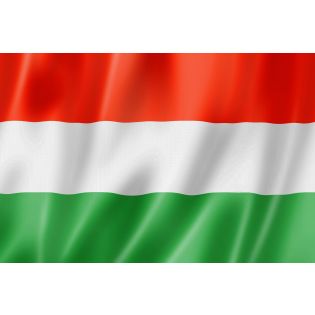 BIREG –Sistem electronic avansat de înregistrare a autorizațiilor în Ungaria