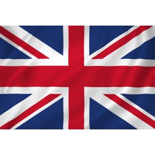 Marea Britanie: informații actualizate privind Serviciul de Declarații Vamale (CDS)