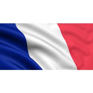 Franța: pachet mobilitate – declarație de detașare pentru cabotaj