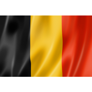 Belgia - informații privind detașarea conducătorilor auto